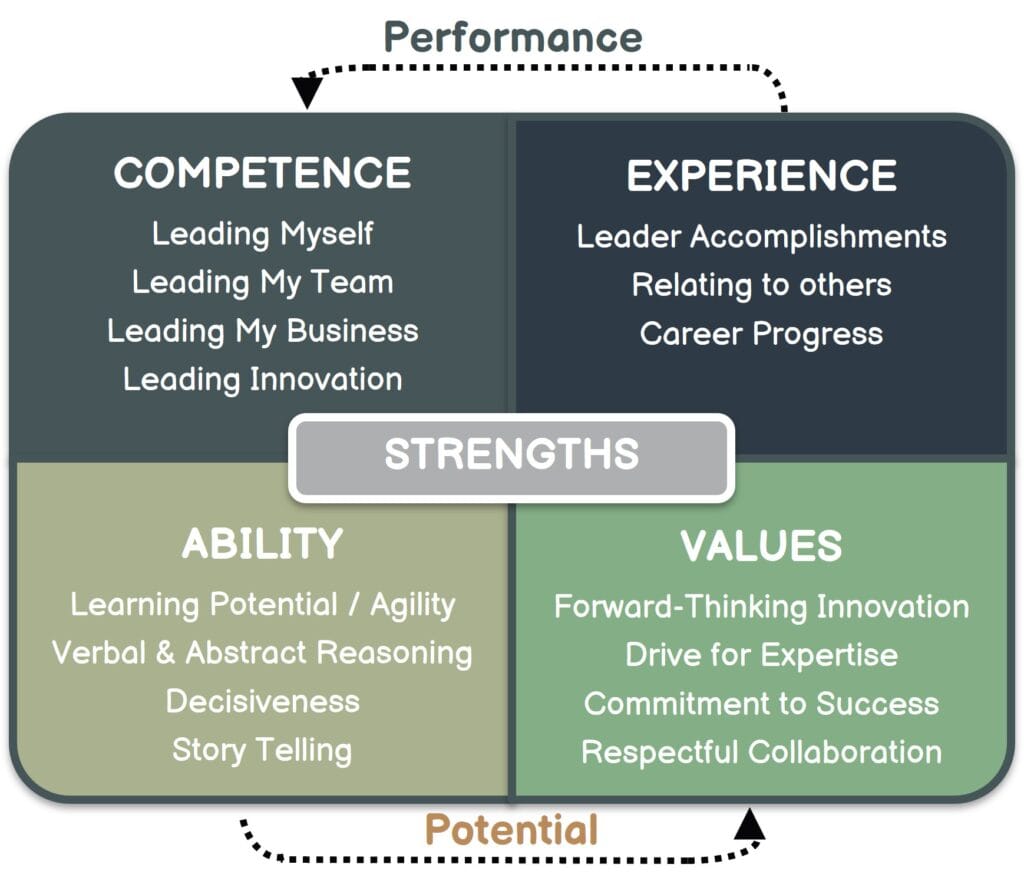 This is an example of a data-driven leadership capability model