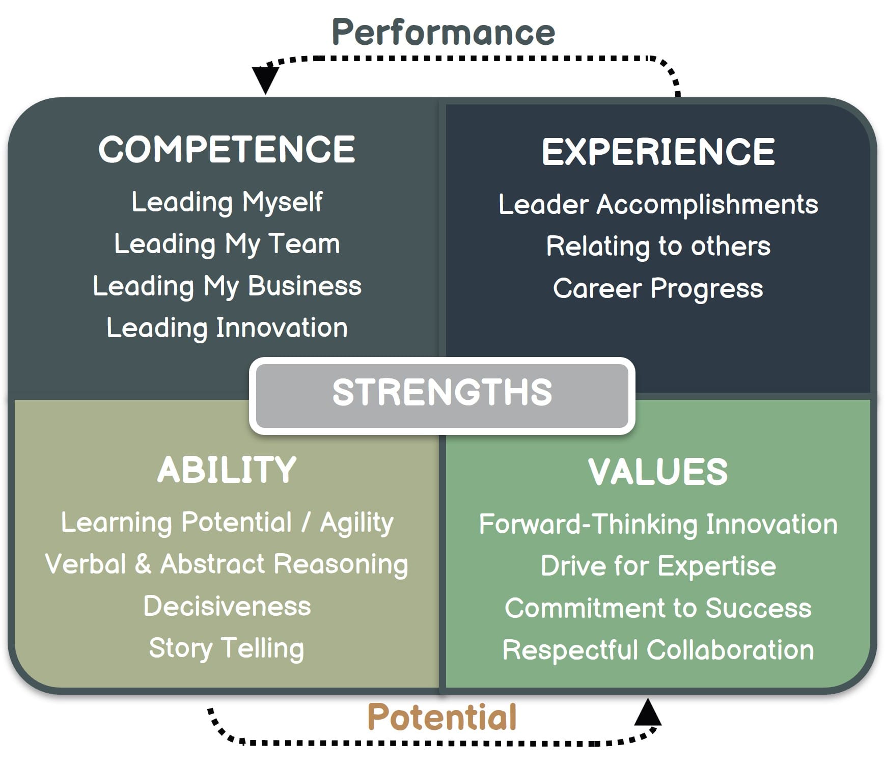 This is an example of a data-driven leadership capability model
