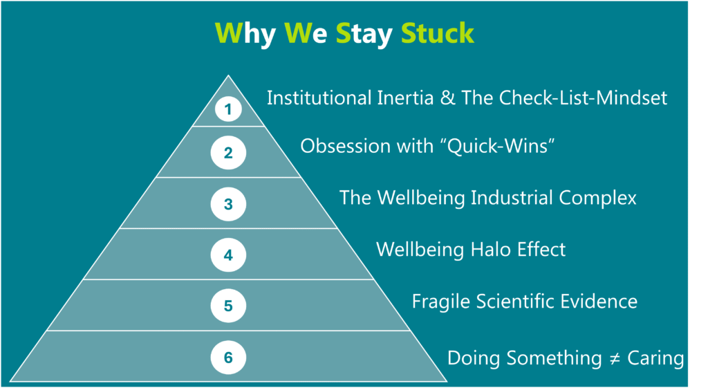 WHY DO WE KEEP INVESTING IN WELLBEING INTERVENTIONS THAT DON’T WORK?